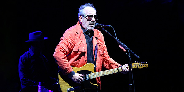 Elvis Costello Image